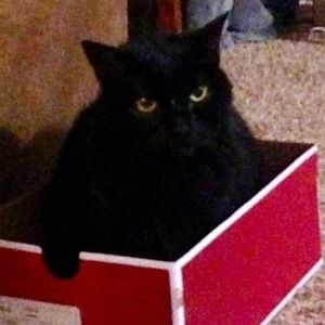 Meet your Posher, Linda